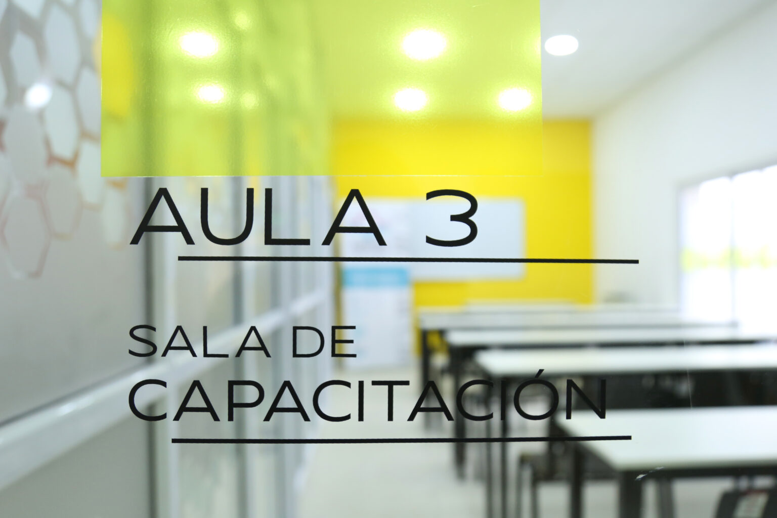 1D2A5324-copia-1536x1024